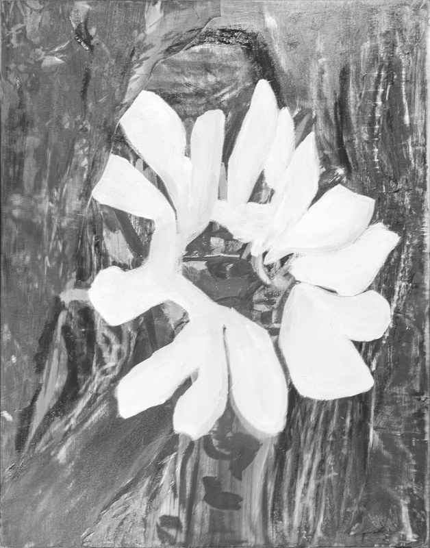 Alex Fischer, Super Seed Bwblue, 2016-08-29